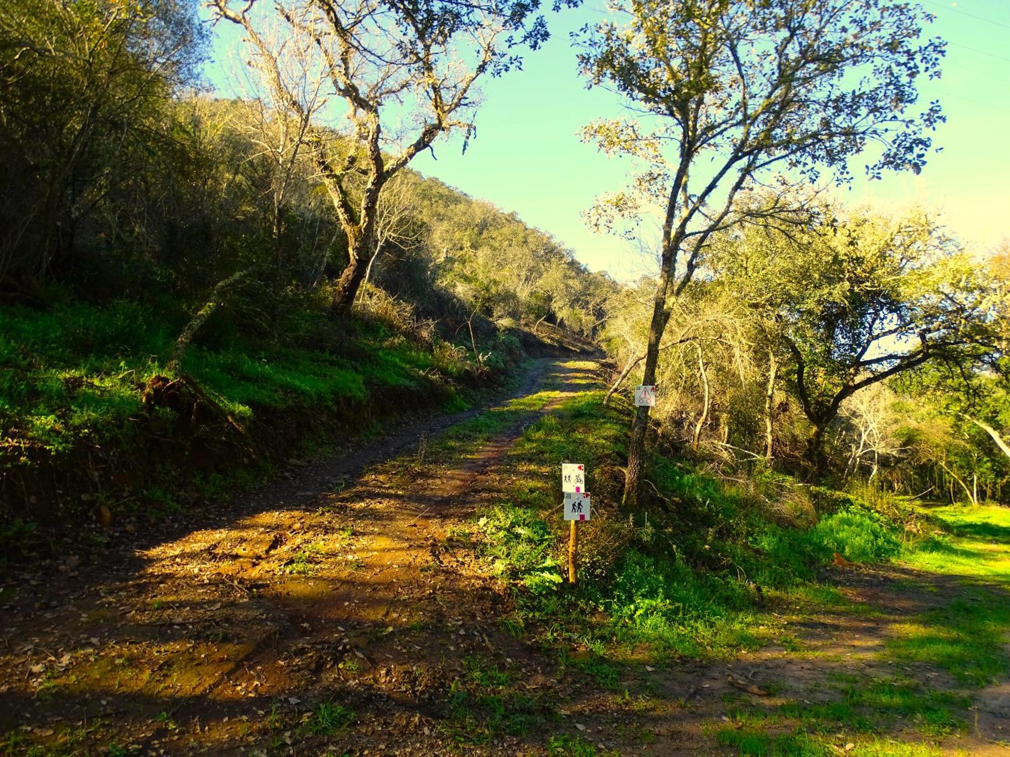 Herdade Vale De Gaios By Stay In Alentejo Сан-Луїс Екстер'єр фото