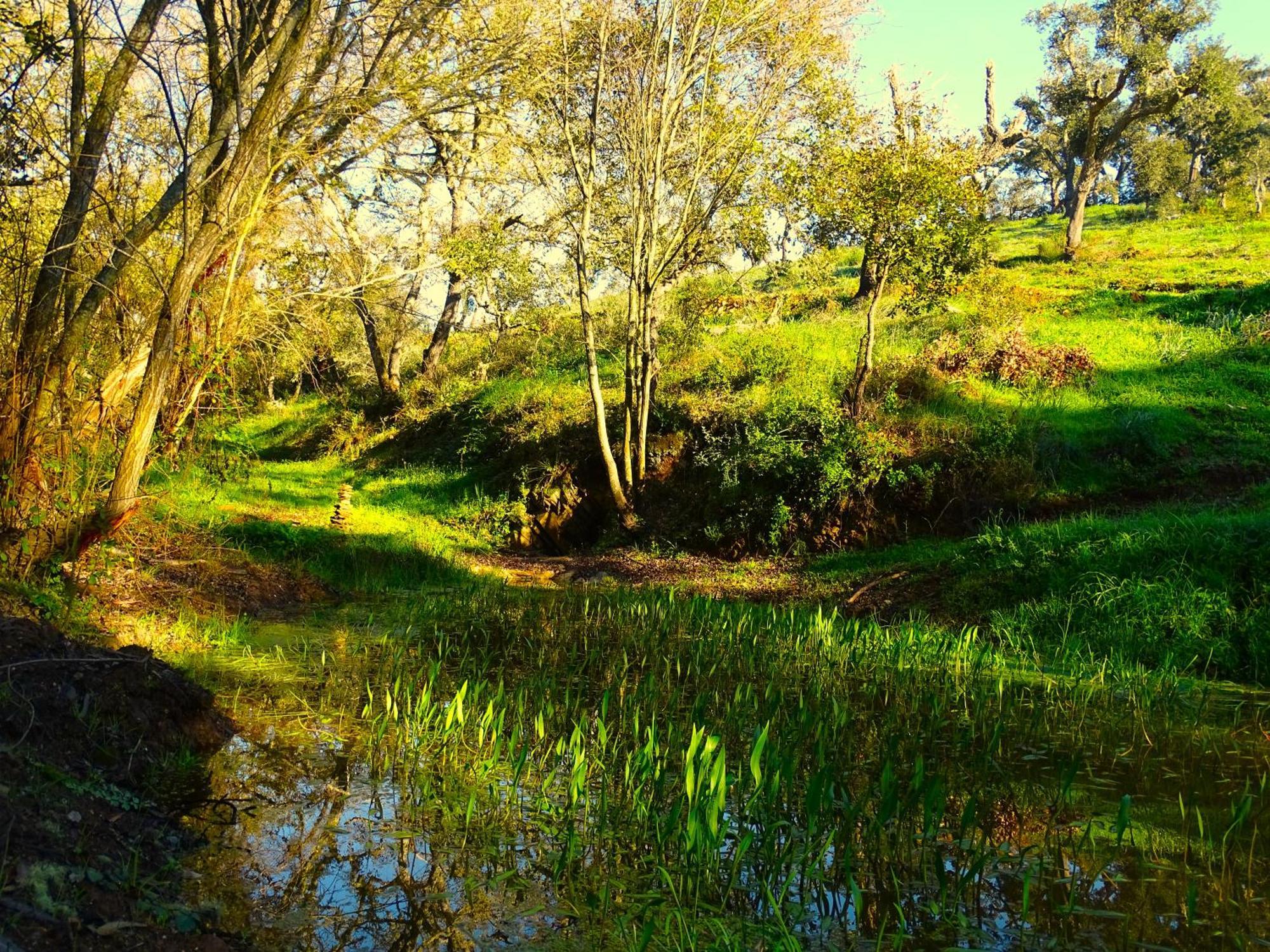 Herdade Vale De Gaios By Stay In Alentejo Сан-Луїс Екстер'єр фото